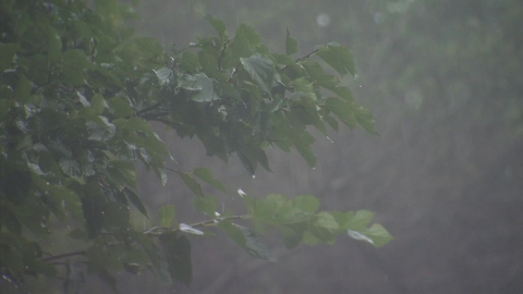 [날씨] 오늘∼내일 전국 비, 남부 \'봄 호우\'…제주도 호우주의보