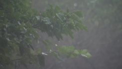 [날씨] 오늘∼내일 전국 비, 남부 '봄 호우'...제주도 호우주의보