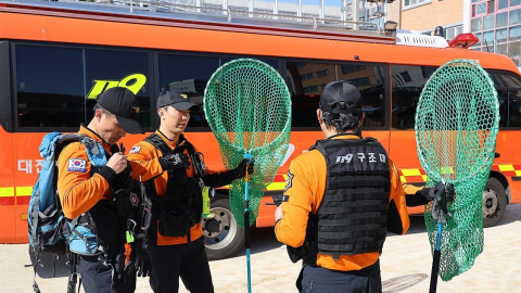 오월드 늑대 수색 이틀째 난항, 비 예보까지…사살도 검토