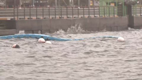 [날씨] "봄인데 시간당 70mm 폭우"…제주·남해안 강풍 동반 호우