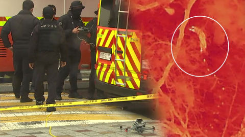 탈출 늑대 수색 장기화 우려…"위치 파악 최우선"