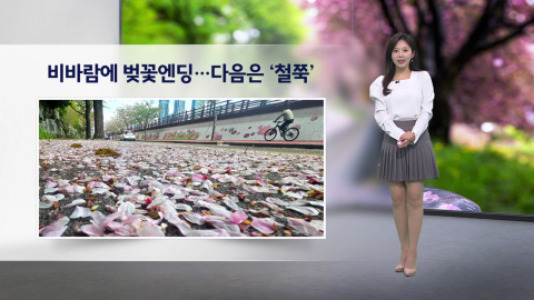 [이슈날씨] 비바람에 벚꽃엔딩...다음은 '철쭉'