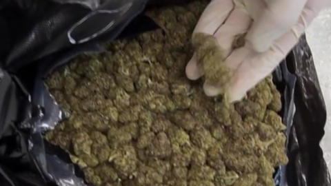 권총 들여온 야쿠자 출신…이번엔 900억대 대마 밀수