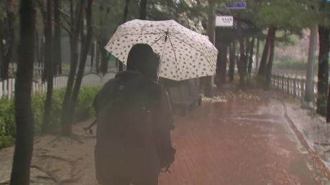 롤러코스터 4월…꽃샘추위→봄 호우→이른 더위