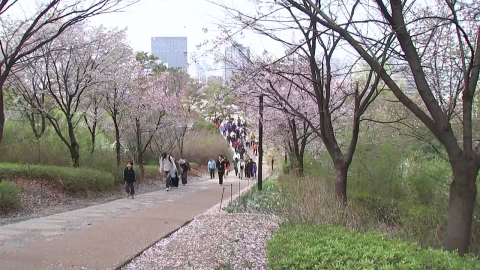 가족과 함께 걷는 봄…\'남산 가족 걷기 대회\' 북적