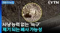 흙 파고 동물원에서 탈출한 \'늑구\'...사냥 능력 없어 폐사 가능성 [지금이뉴스]