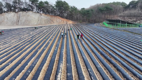비료 품귀에 농자재도 가격 상승…"농사 시작도 못 해"