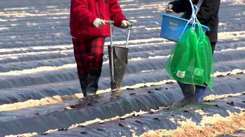 비료 품귀에 치솟는 농자재 가격…"농사 시작도 못 해"