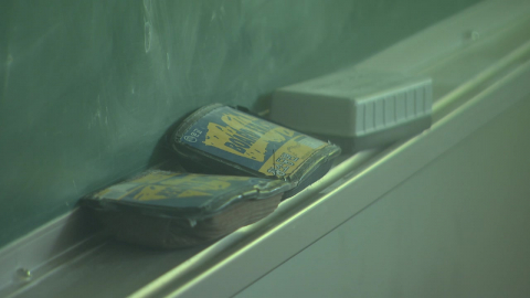 [제보는Y] "대학 나와서 대면 조사를?"…트라우마 2차 가해 반발