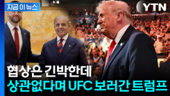 미·이란 협상 총력전 중인데...트럼프는 UFC 경기장으로 [지금이뉴스]