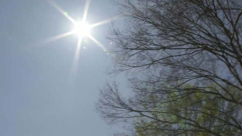 [날씨] 따스한 봄 햇살, 서울 23℃…일교차 극심, 제주엔 차츰 비