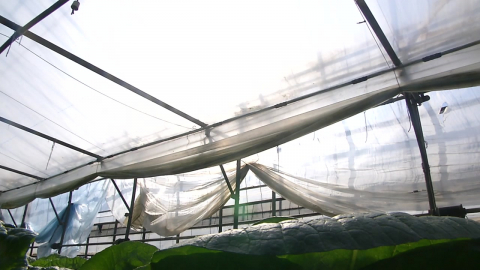 "씻어 쓰고 고쳐 쓰고"…영농비 절감 안간힘