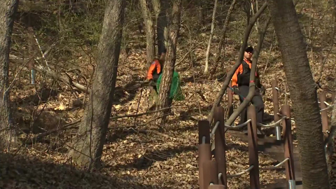 늑대 탈출 엿새째 오리무중…수색 장기화 국면