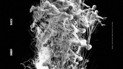 연상호 감독 '군체' 모티브로 한 몰입형 공연 나온다…중국 수출도 준비