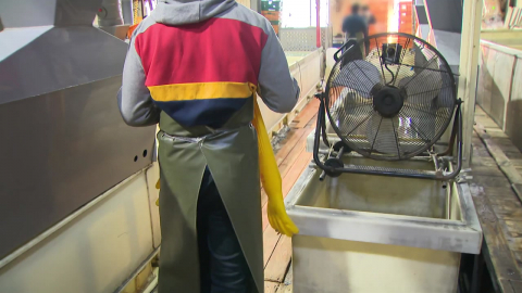  경찰, '공장 에어건' 확보해 분석…대표 측, 오락가락 지적에 해명