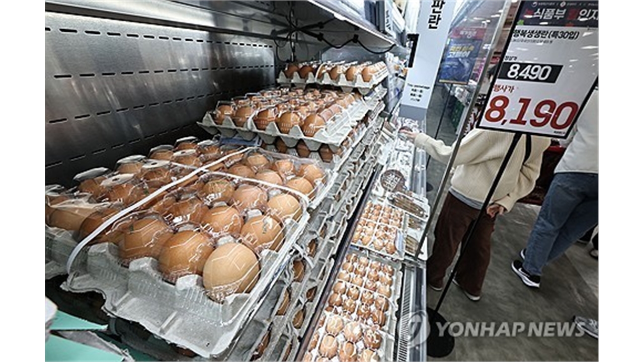 일본 계란값 최고치 경신...조류인플루엔자·중동 리스크에 폭등