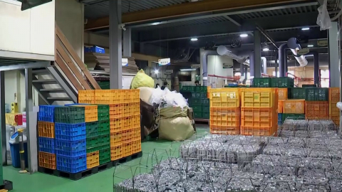 '에어건 상해' 업체 압수수색…조만간 대표 소환