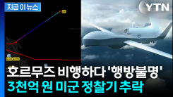 급강하하더니 긴급코드 발신...호르무즈서 실종된 3천억짜리 美드론, 결국 [지금이뉴스]