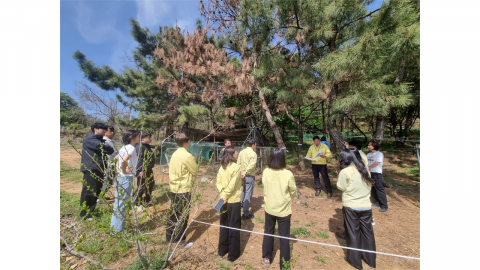 시흥에도 '소나무재선충병'...경기도 23개 시·군에서 발생