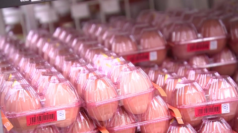 중동 전쟁에 밥상 '흔들'…일본도 달걀 최고 찍었다