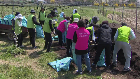 인력난·인건비 '이중고'…농가 시름 더는 '구슬땀'
