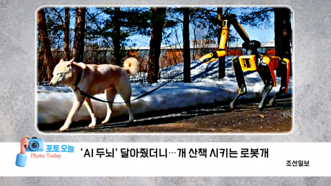 [포토오늘] 'AI 두뇌' 달아줬더니...개 산책 시키는 로봇개
