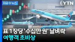 미국 왕복에 "기름값 100만원 더 내세요"...결국 역대 최대 [지금이뉴스]