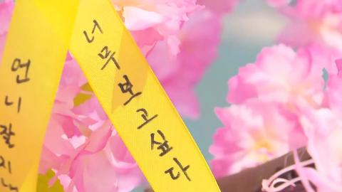 "사랑해, 보고 싶어"…세월호 12주기 선상 추모식