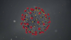 잠복했다 나타나는 '코로나 변이' 전 세계 확산...日까지 번져