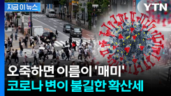이미 일본에도 번졌다...\'코로나 변이\' 전 세계 확산 [지금이뉴스]