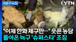 "비 예보 있는데 다행"...돌아온 늑구 향한 뜨거운 환영 [지금이뉴스]