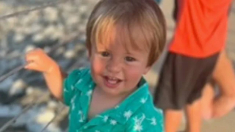 부모 자리 비운 사이… 4살 아이가 쏜 총에 2살 동생 숨져