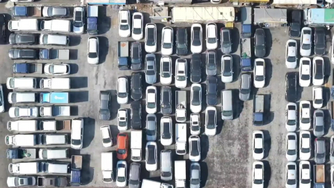 "마진보다 비싼 운임"…중고차 수출업자 '한숨'