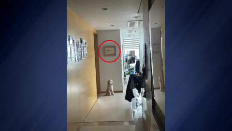 법정에 등장한 이우환 그림…김건희 일가 재판도 시작