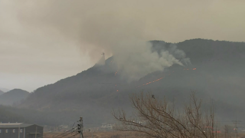 실화·방화 모두 '무관용'…산불 발생 단속·처벌 강화