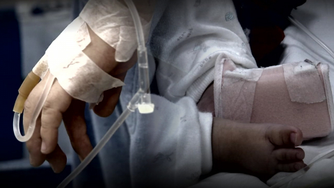 "콘크리트 바닥 아니면 사망 불가"…학대 의심 추궁