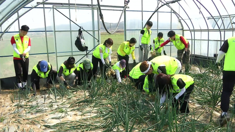 찾아가는 영농지원단…"농촌 일손 돕기 앞장"