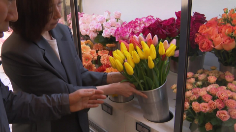 [新농비] 특허받은 꽃 냉장고…8도의 숨겨진 비밀은?