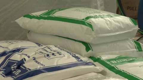 전쟁 장기화에 생산비 오르고 수요 줄어…상추 농가 '울상'