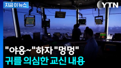 동료 제지에도 "야옹·멍멍"...얼 빠진 조종사들의 최후 [지금이뉴스]