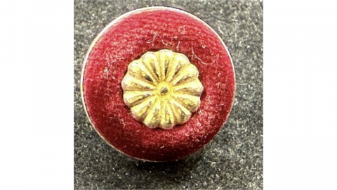 "진짜 금은 부담스러워서"...일본 의회, '진짜 금배지' 퇴출