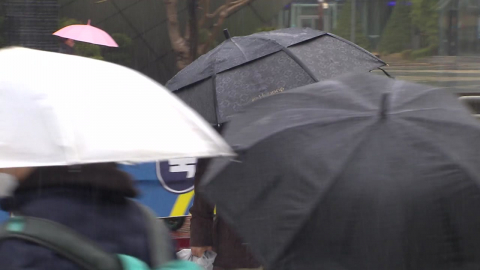 [날씨] 절기 '곡우' 곳곳 봄비, 고온 현상 누그러져…오후부터 황사 유입