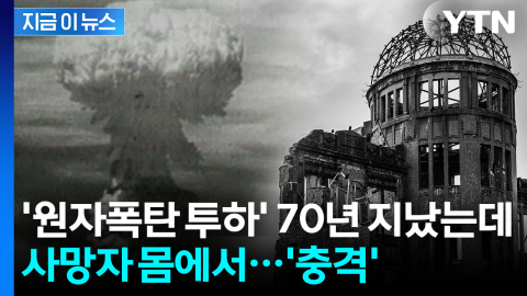 히로시마 원폭 피폭자 장기에서...고스란히 남은 '원자폭탄' 흔적 [지금이뉴스]