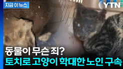 인류애 바닥난 학대...길고양이 얼굴에 토치로 화상 [지금이뉴스]