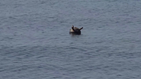 미, 기뢰 제거 나섰지만…"이미 원유 5억 배럴 증발"