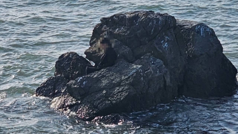 "바다 보다 잠들어"…대부도 갯바위에 고립된 60대 여성 구조