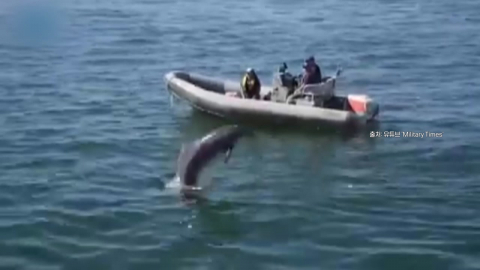 바닷속 시한폭탄 '기뢰' 제거에 드론에 돌고래까지? [앵커리포트]