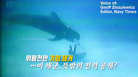 길어지는 전쟁…돌고래와 강아지의 '맹활약' [앵커리포트]