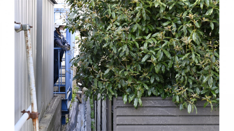 '곰 출몰' 일본서 경찰관까지 물려...곰 피해 추정 시신도 발견