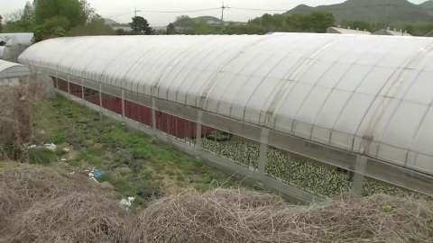 비닐 재고 '제로'…전쟁 여파에 화훼업 '이중고'